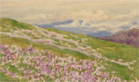 Sophie Atkinson (1876-1972) - 1936 Watercolour, Autumn Crocus above St Valentin