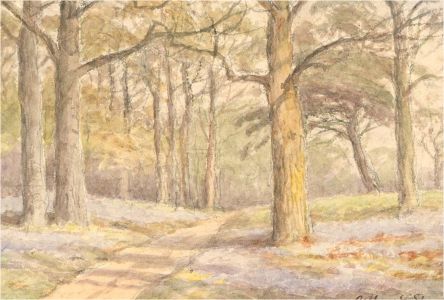 Arthur E. Strutt - Signed Late 19th Century Watercolour, Woodland Path