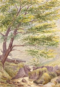 Fraser Selby - Early 20th Century Watercolour, Riverside Tree