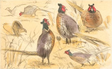 Peter Partington (b.1941) - 20th Century Watercolour, Stud of Pheasants