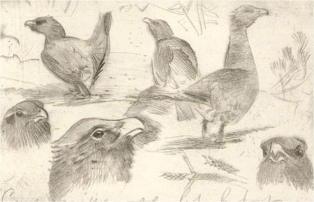 Peter Partington (b.1941) - 20th Century Etching, Study of Birds