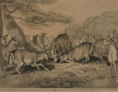 Attrib. Sawrey Gilpin RA (1733-1807) - 18th Century Watercolour, New Forest Deer