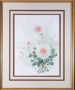 C. Williams - Signed & Framed Mid 20th Century Watercolour, Rose Study