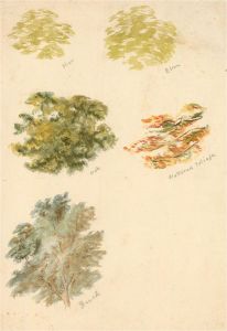 A. H - 1891 Watercolour, Pair of Lichen And Tree Studies
