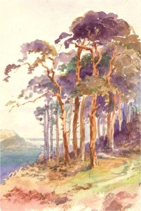 Mid 20th Century Watercolour - Tall Trees
