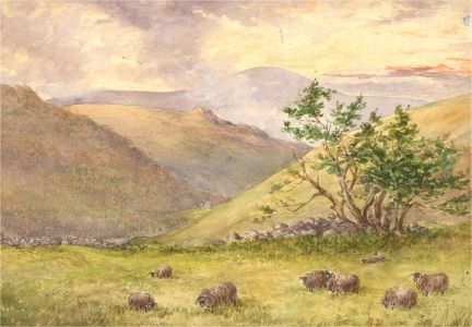 Mid 20th Century Watercolour - Sheep on a Hill