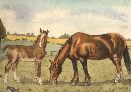Mid 20th Century Watercolour - Horse & Foal Grazing