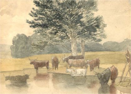 Early 20th Century Watercolour - Cattle at the River