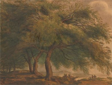 Mid 19th Century Watercolour - Figures Beneath a Great Tree