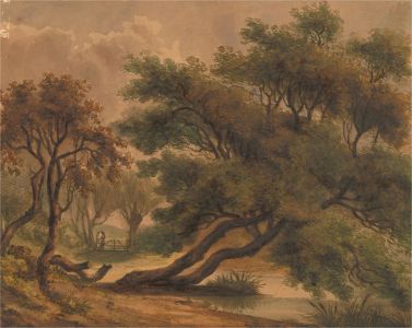 Mid 19th Century Watercolour - The Great Old Tree