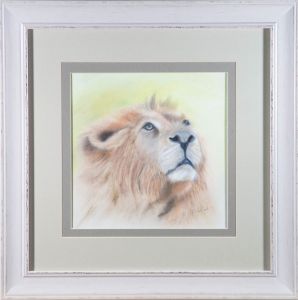 Patti Harford - Contemporary Pastel, Lion