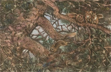 Peter Partington (b.1941) - 20th Century Etching, Red Squirrels