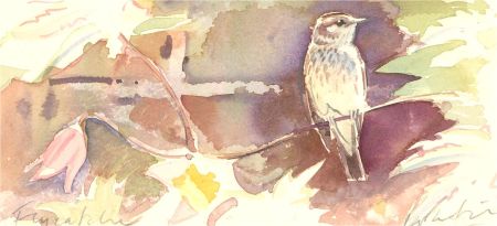 Peter Partington (b.1941) - 20th Century Watercolour, Flycatcher