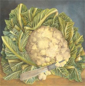 Mid 20th Century Oil - The Cauliflower