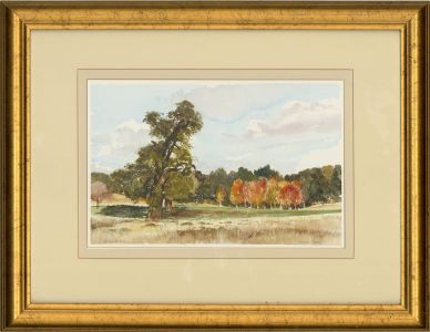 Terence Dalley b.1935 - Contemporary Watercolour, Richmond Park