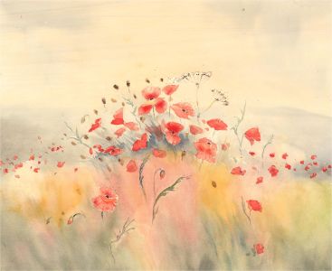 Janet Hemmingway - 20th Century Watercolour, Poppies