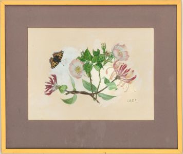 C. R. C - 1981 Watercolour, Wild Flowers With Butterfly
