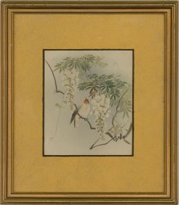 Early 20th Century Watercolour - Finch In The Acacia Tree
