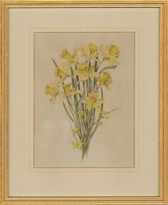 20th Century Watercolour - Delicate Yellow Flowers