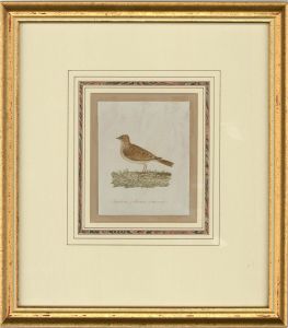 Attrib. Sir William Charles Ross RA - Mid 19th Century Watercolour, Skylark