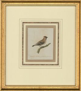 Attrib. Sir William Charles Ross RA - Mid 19thC Watercolour, Bohemian Chatterer