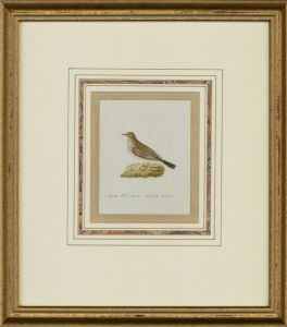 Attrib. Sir William Charles Ross RA - Mid 19th Century Watercolour, Field Lark