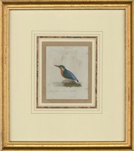 Attrib. Sir William Charles Ross RA - Mid 19th Century Watercolour, Kingfisher
