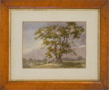 Late 19th Century Watercolour - Resting Beneath The Oak