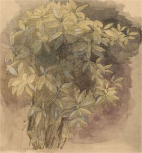 Julia Morley (1917–2008) - Mid 20th Century Watercolour, Laurel Bush
