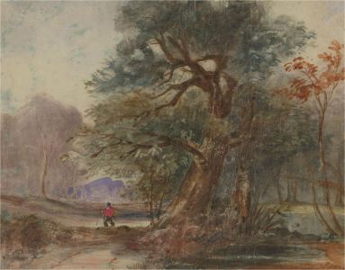 Mid 19th Century Watercolour - Figure in a Wooded Scene