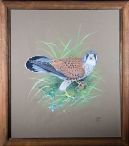 Kenneth J. Wood (1936-1992) - 1966 Gouache, Kestrel