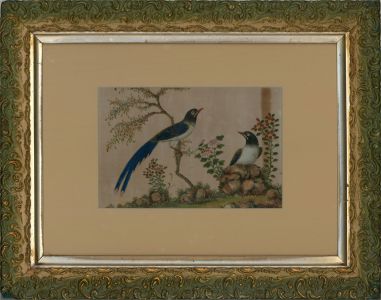 Early 19th Century Watercolour - Chinese Blue Magpies
