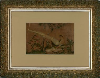 Early 19th Century Watercolour - Chinese Pheasants