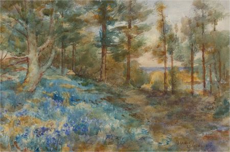James Ulric Walmsley (1860-1954) - Early 20th Century Watercolour, Bluebells