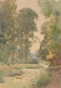 Early 20th Century Watercolour - Woodland Path