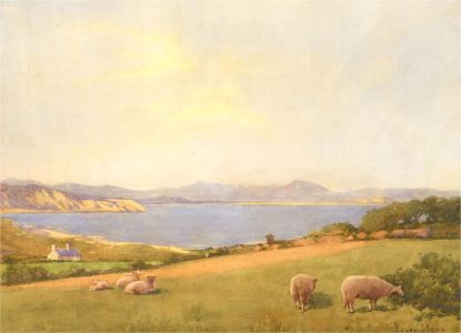 Henry John Lyon (1862-1938) - Late 19th Century Watercolour, Grazing Sheep