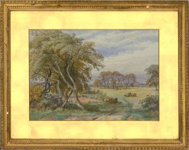 William Wilde (1826-1901) - 1899 Watercolour, Sketch from Nature