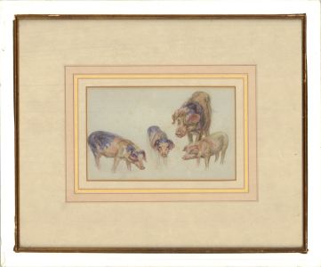 20th Century Watercolour - Four Pigs