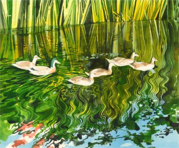Ray J. Weston - Contemporary Watercolour, Ducks