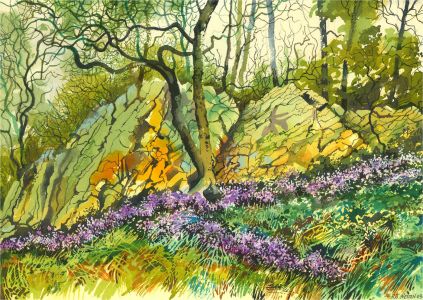 Ray J. Weston - 2003 Watercolour, Bluebells
