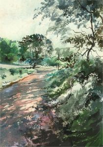 Early 20th Century Watercolour - Woodland Path