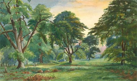 Percy S. Laws (1892-1972) - Mid 20th Century Watercolour, Woodland Scene