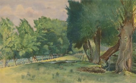 Percy S. Laws (1892-1972) - Mid 20th Century Watercolour, Edge of the Orchard