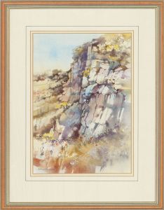 Arthur Watson - 20th Century Watercolour, Flowers In The Rock Face