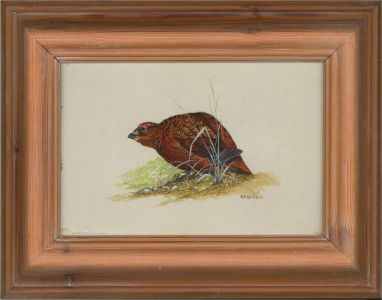 R.F. Bishop - 20th Century Watercolour, Red Grouse