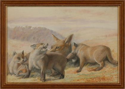 20th Century Watercolour - Fox with Cubs