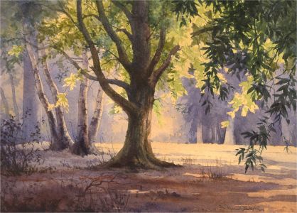 Dennis Rothwell Bailey (b. 1933) - 1976 Watercolour, Summer In The Glade