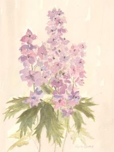 Sylvia Grottick - 20th Century Watercolour, Hyacinths