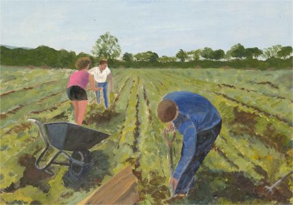 Sylvia Grottick - 20th Century Oil, Working the Field