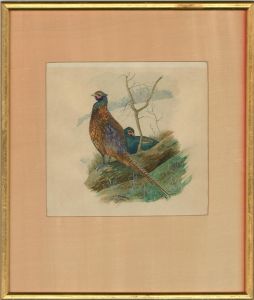 M.E. Burbage - Early 20th Century Watercolour, Two Pheasants